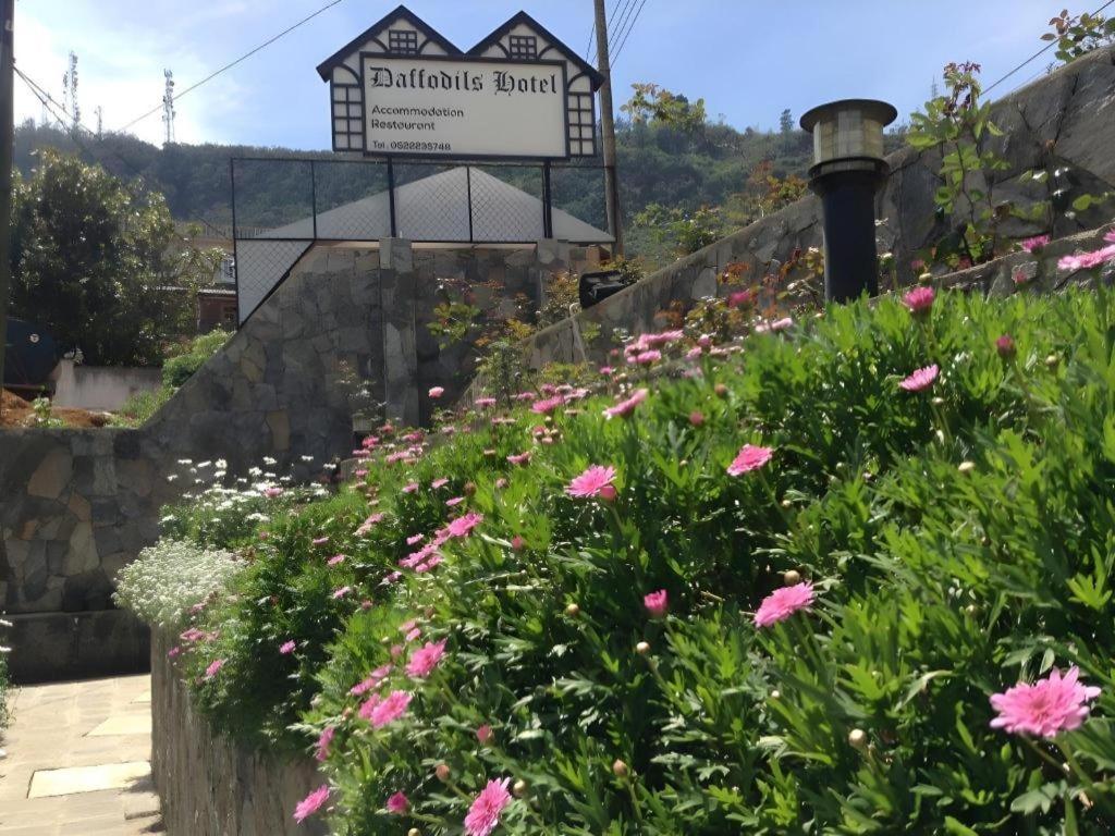 Daffodil'S Hotel Nuwara Eliya Ngoại thất bức ảnh