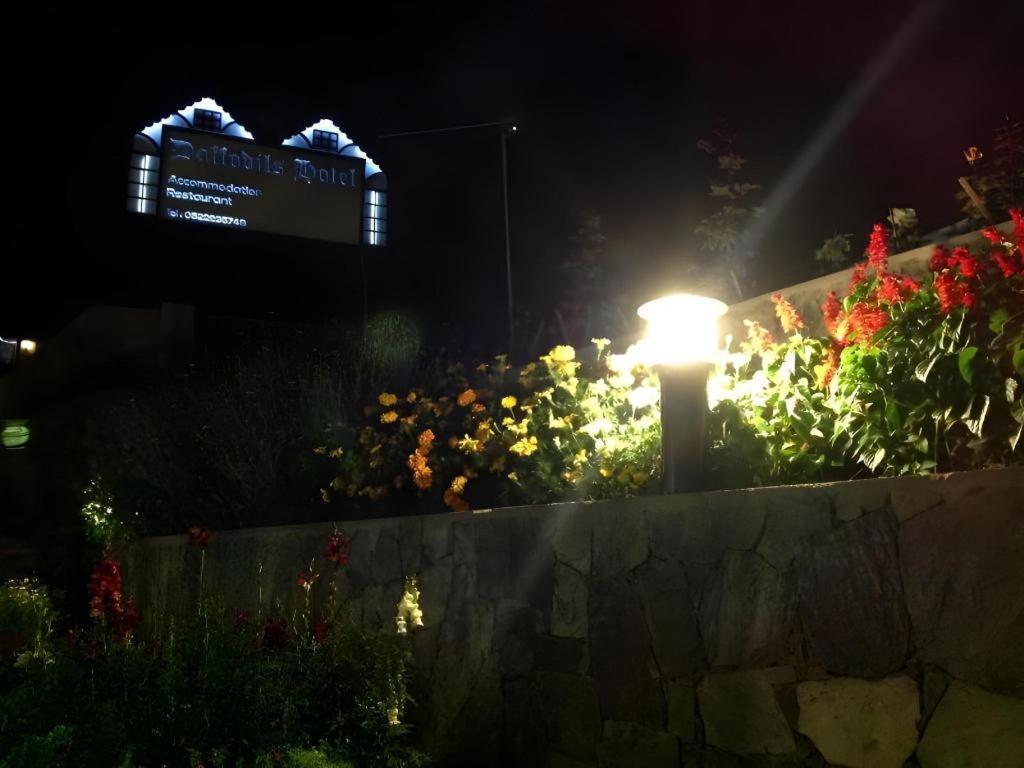 Daffodil'S Hotel Nuwara Eliya Ngoại thất bức ảnh
