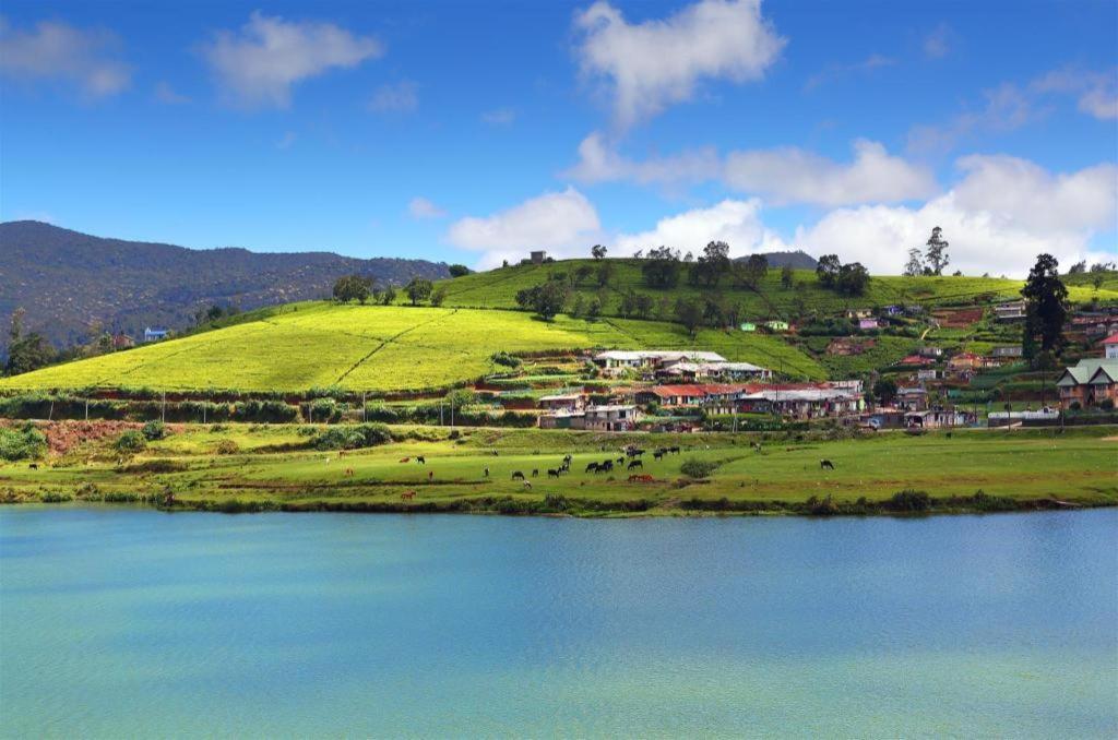 Daffodil'S Hotel Nuwara Eliya Ngoại thất bức ảnh