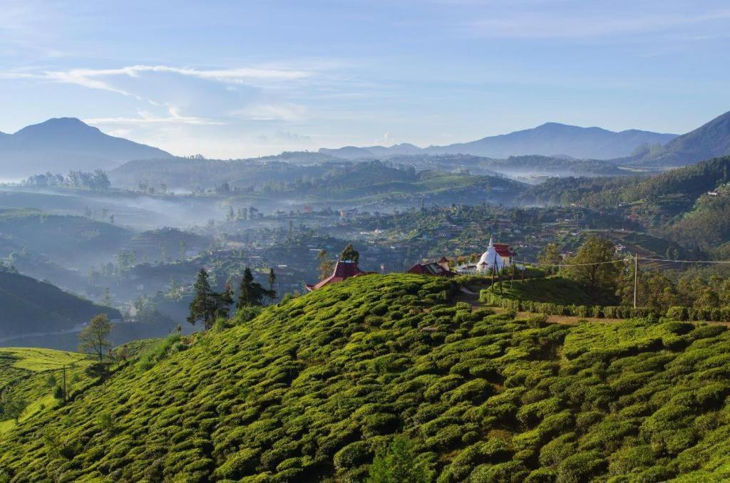 Daffodil'S Hotel Nuwara Eliya Ngoại thất bức ảnh